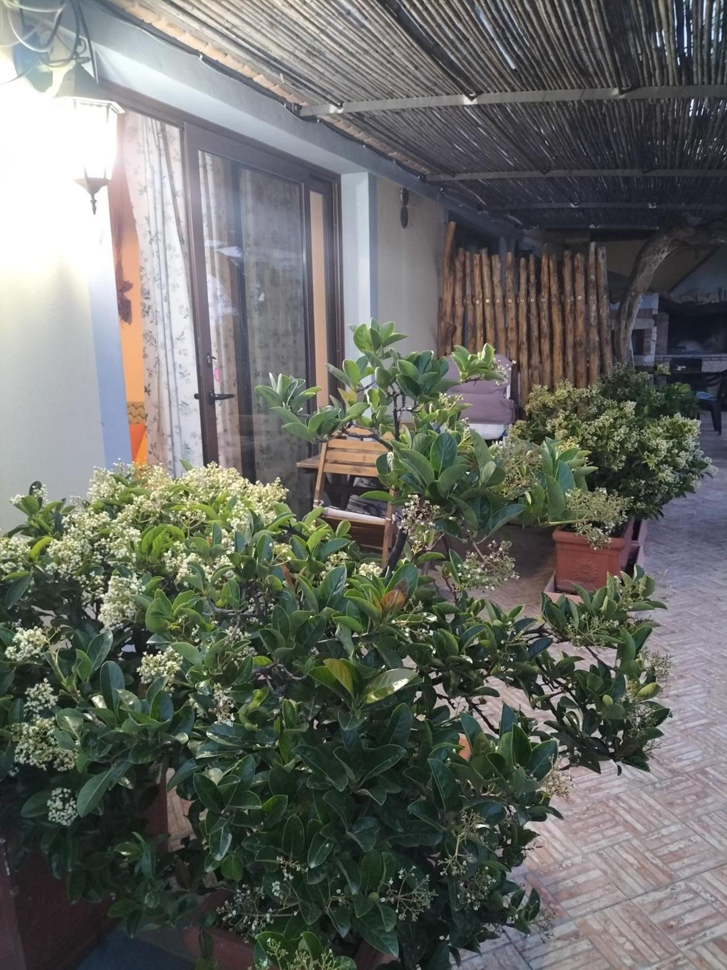 Fiorerosa سانتا ماريا نافاريز المظهر الخارجي الصورة